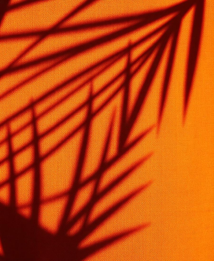 Palm shadows on terracotta